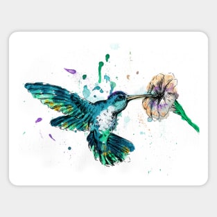 Hummingbird Image Magnet